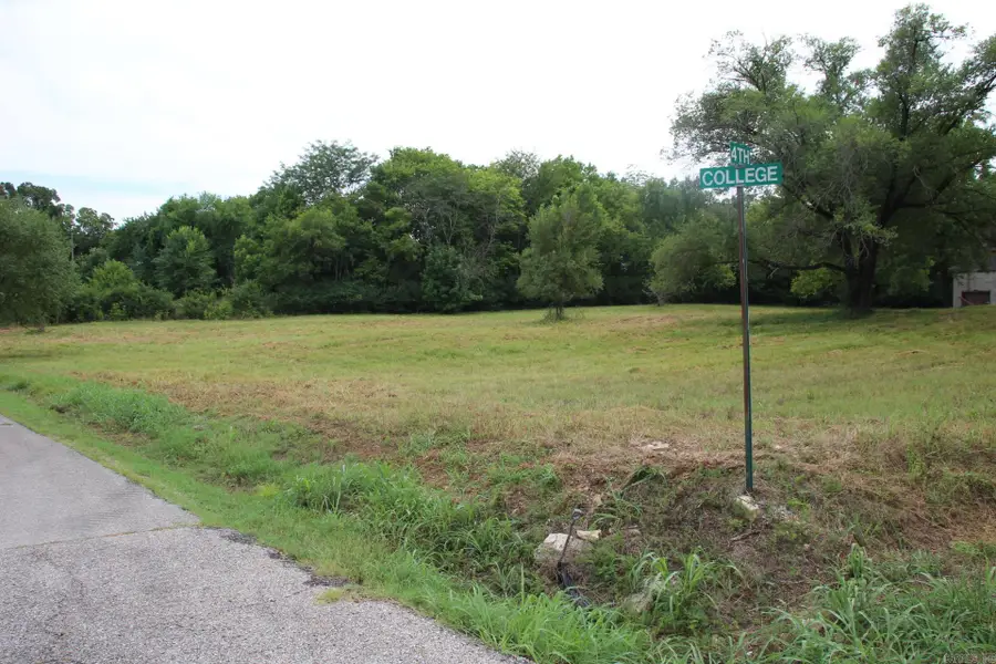 Lot 12 4th Street, Yellville, AR 72687 - #2