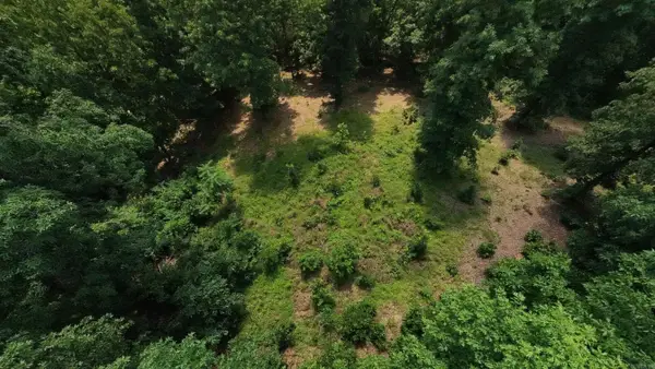 Tract 4 Upper Janes Creek Road, Ravenden, AR 72459