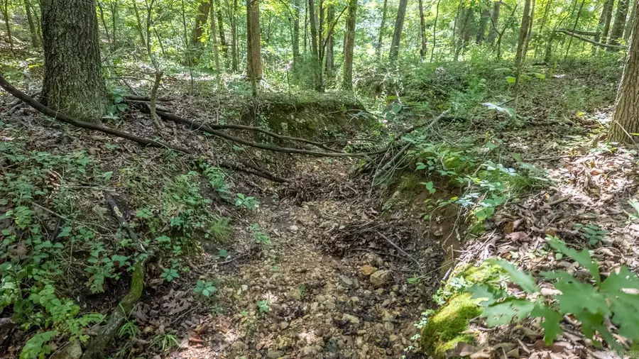 Tract 4 Upper Janes Creek Road, Ravenden, AR 72459 - #3