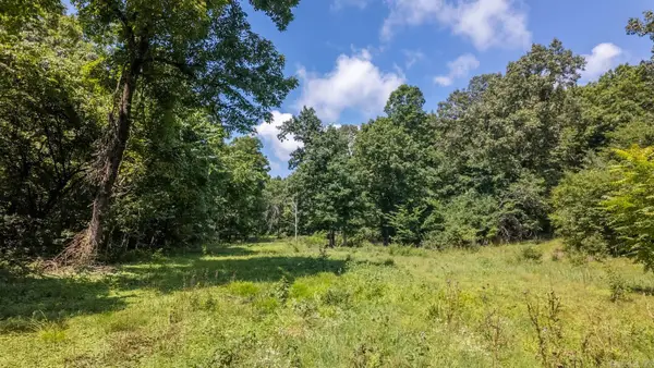 Tract 1 Upper Janes Creek Road, Ravenden, AR 72459