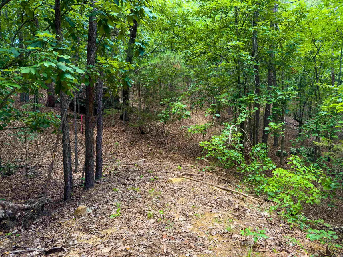 00 Ember Road, Shirley, AR 72153 - #1