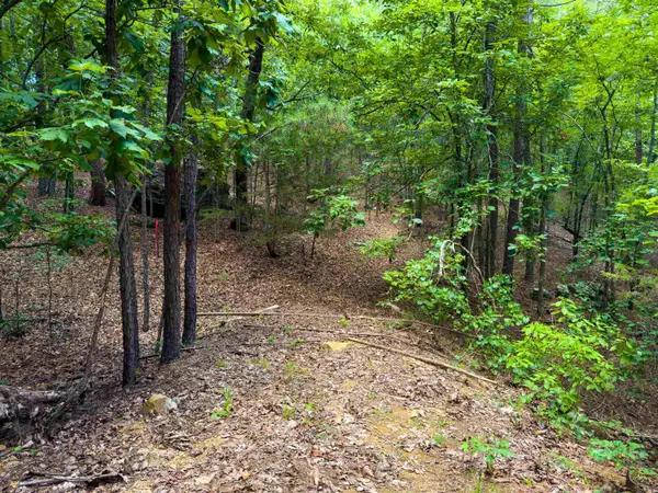 00 Ember Road, Shirley, AR 72153
