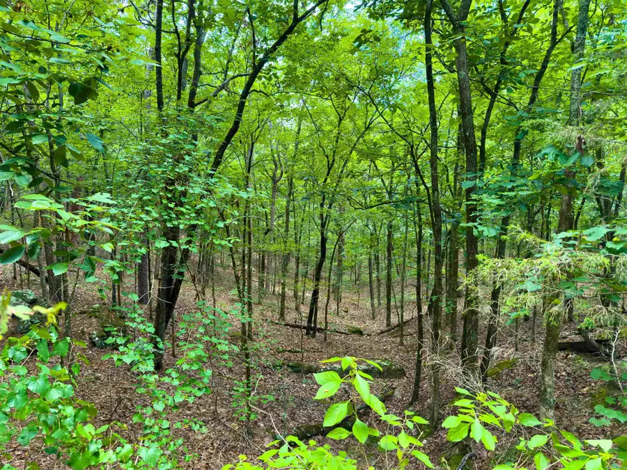 00 Ember Road, Shirley, AR 72153 - #2