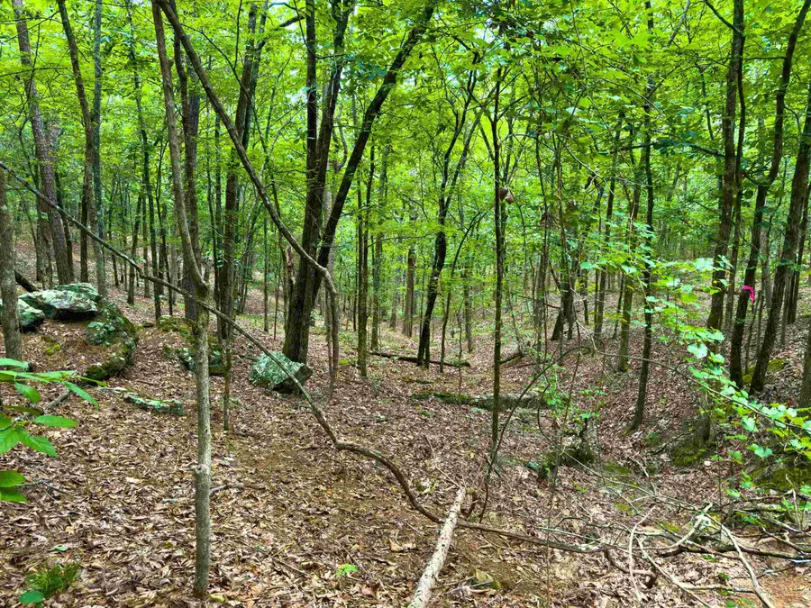 00 Ember Road, Shirley, AR 72153 - #3