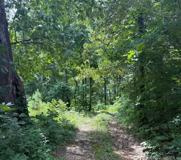 324 County Road 426, Rector, AR 72461
