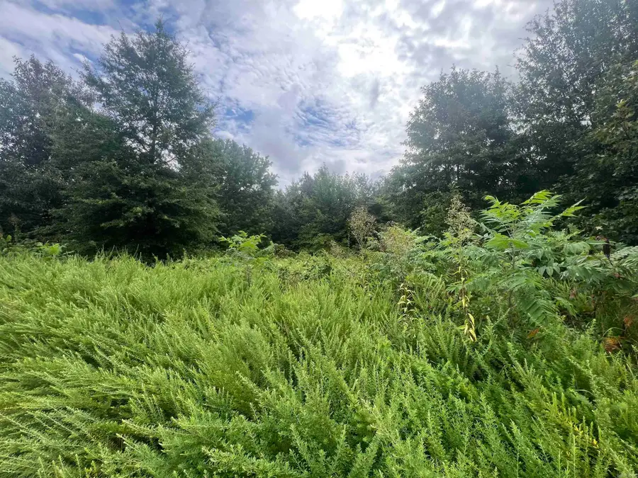 88 1661 Road, Corning, AR 72422 - #2