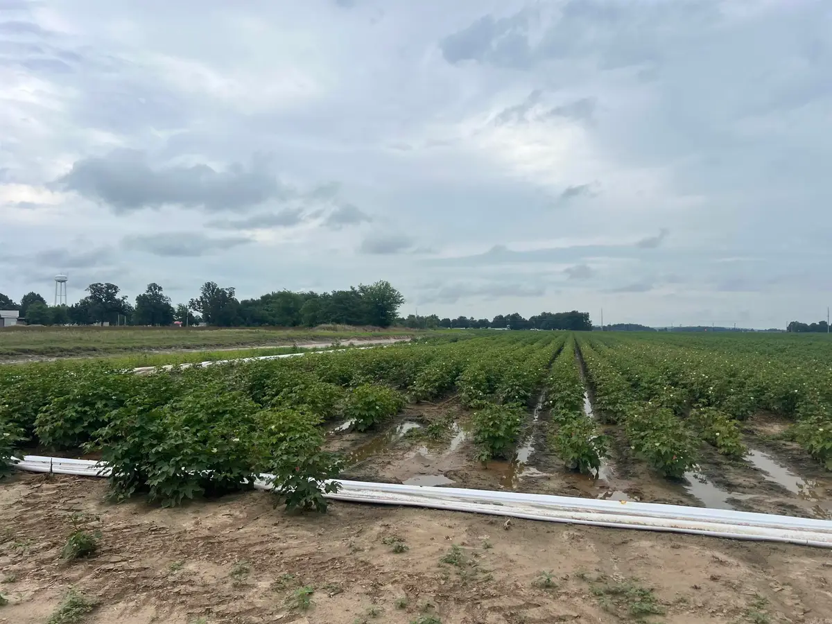0 Clay 312 Road, McDougal, AR 72441 - #1