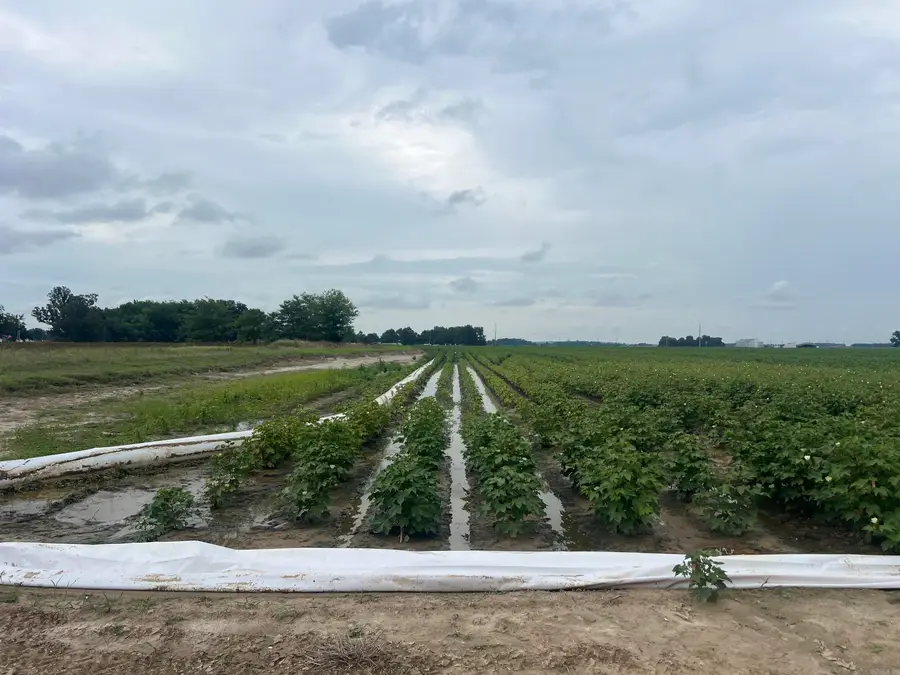 0 Clay 312 Road, McDougal, AR 72441 - #3