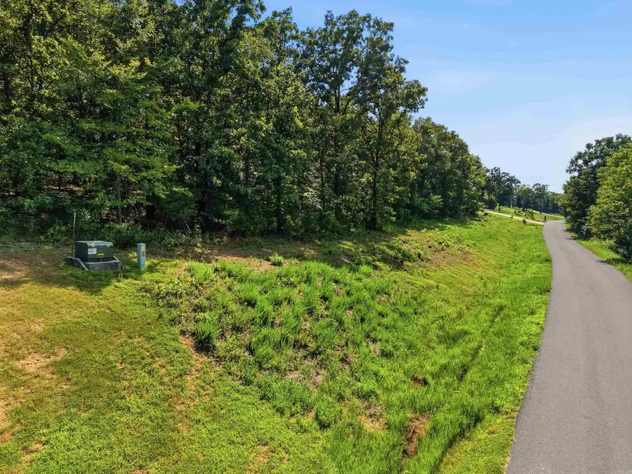 Lot 36 Crested Butte, Austin, AR 72007 - #2