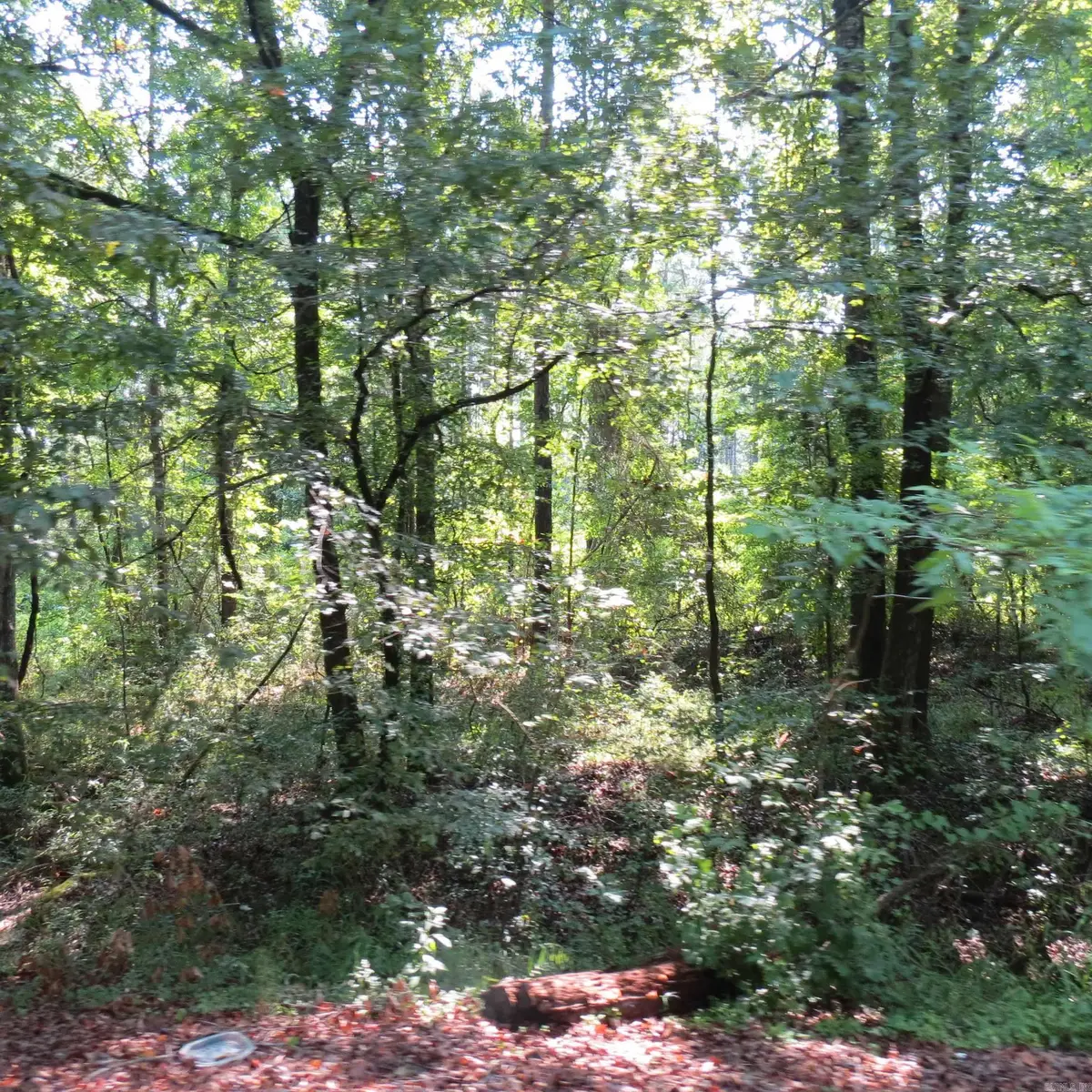 000 Highway 133, Wilmar, AR 71675 - #1