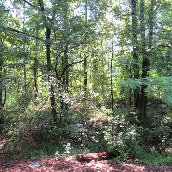000 Highway 133, Wilmar, AR 71675