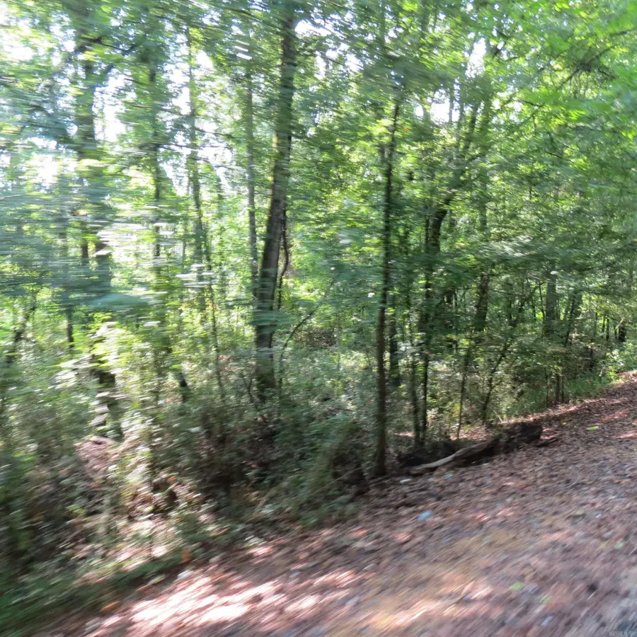 000 Highway 133, Wilmar, AR 71675 - #2