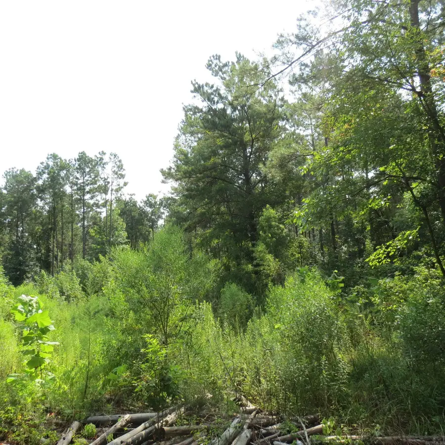 000 Highway 133, Wilmar, AR 71675 - #3