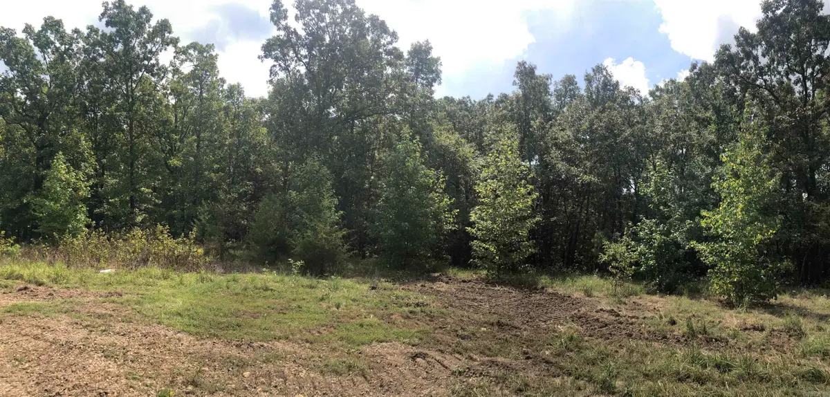 Address Withheld By Seller, Vilonia, AR 72173 - #1