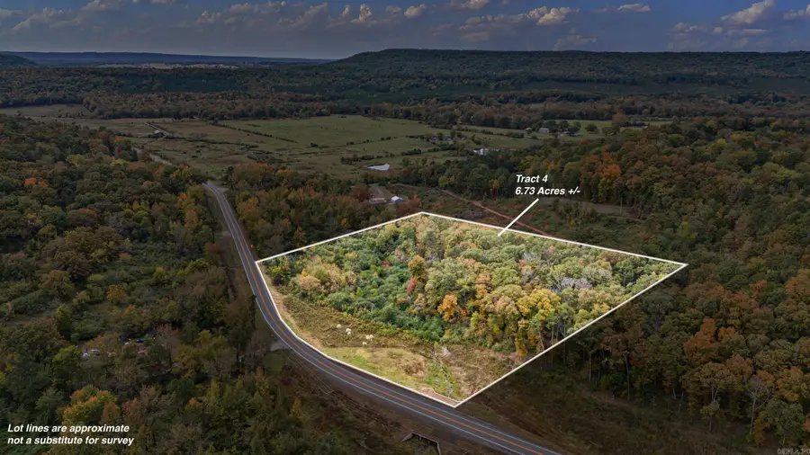 TRACT 4 - 13610 N Sr 105, Hector, AR 72843 - #2
