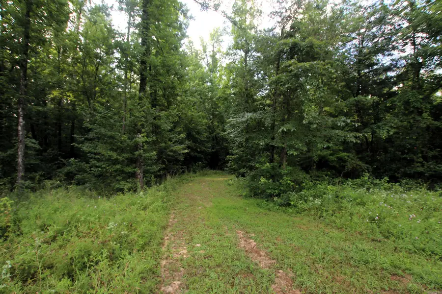164 Reservior Road, Springfield, AR 72157 - #2