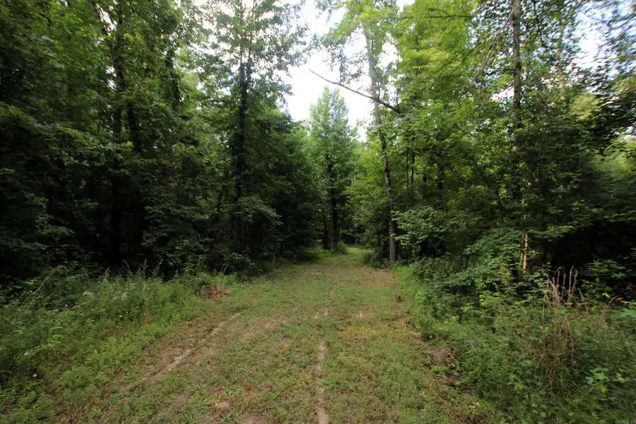 164 Reservior Road, Springfield, AR 72157 - #3