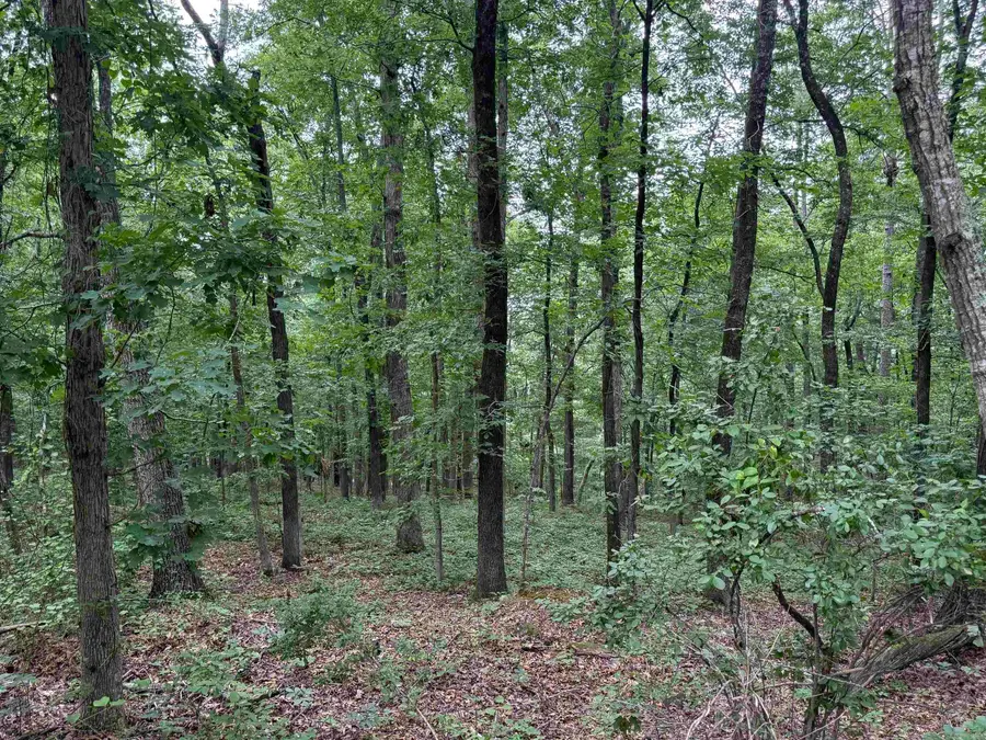Pine Drive, Heber Springs, AR 72543 - #2