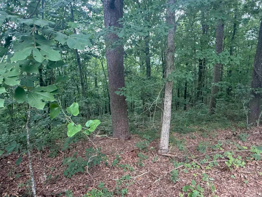 Pine Drive, Heber Springs, AR 72543 - #3