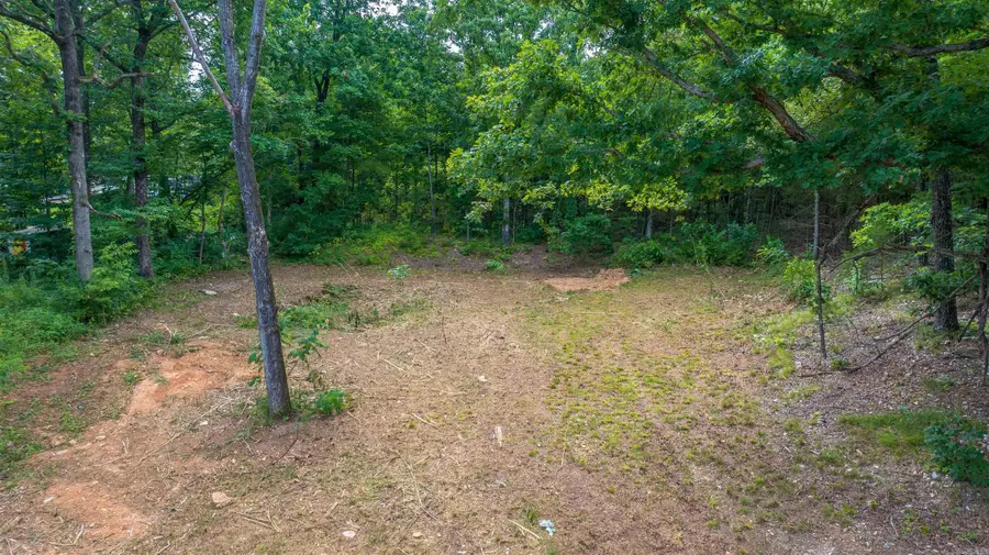 0 Lakeview Circle, Cave City, AR 72521 - #2