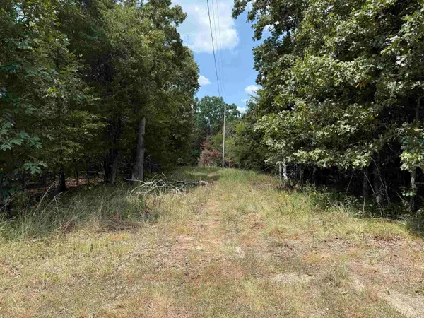 00 Norris Lane, Russellville, AR 72802
