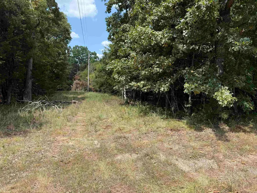 00 Norris Lane, Russellville, AR 72802 - #2