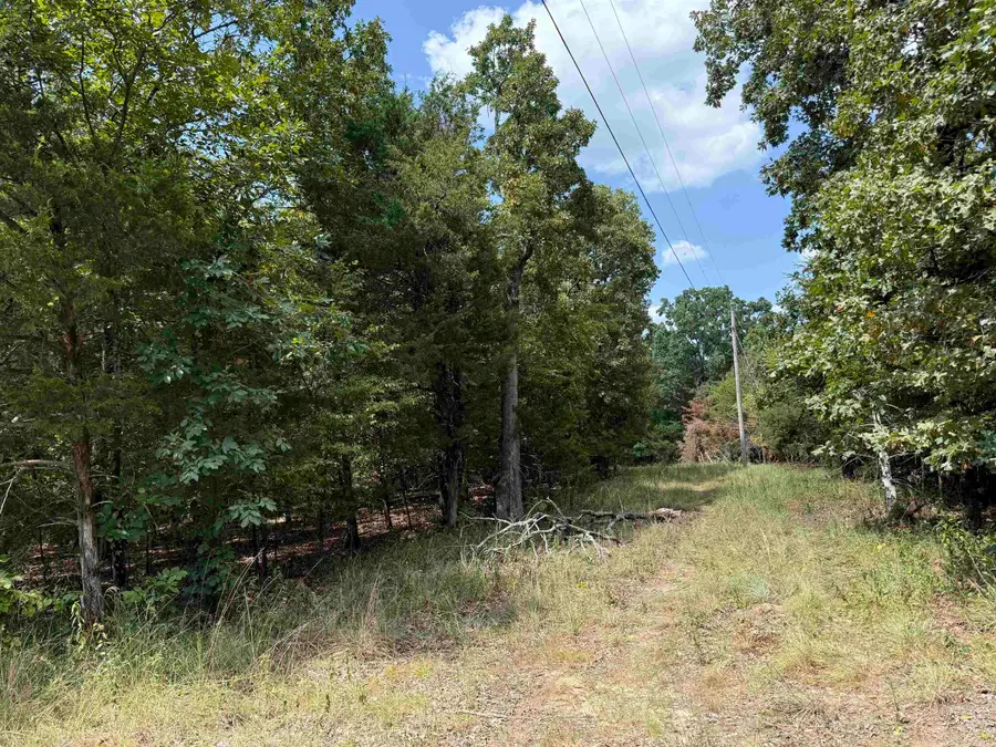 00 Norris Lane, Russellville, AR 72802 - #3