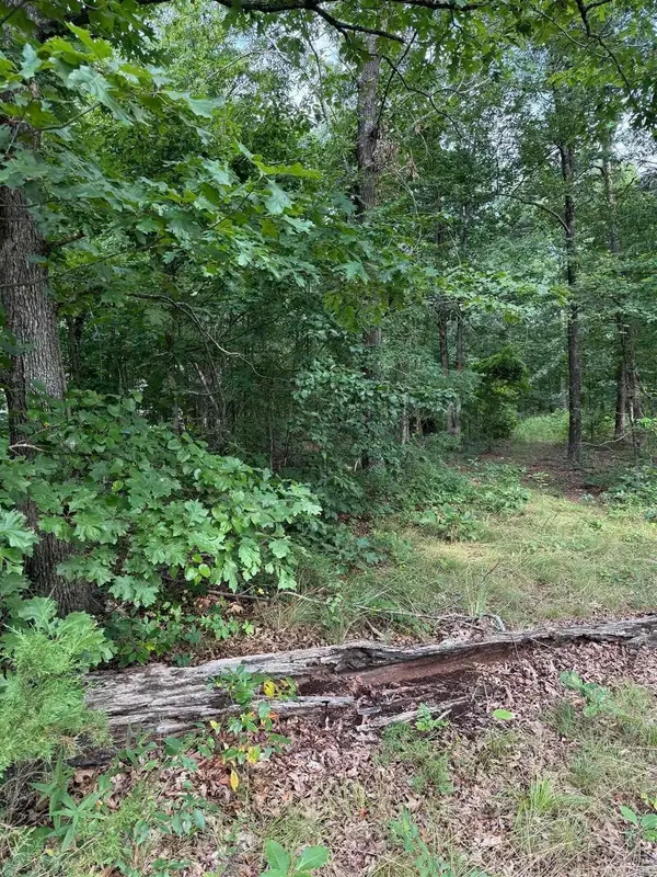 2830 Tiger B Road, Drasco, AR 72530