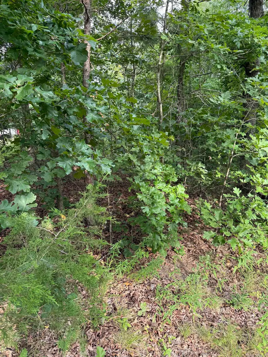2830 Tiger B Road, Drasco, AR 72530 - #3