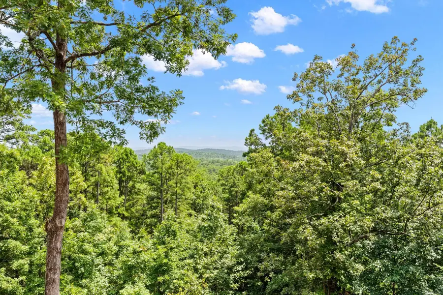 35 Derecho Way, Hot Springs Village, AR 71909 - #3