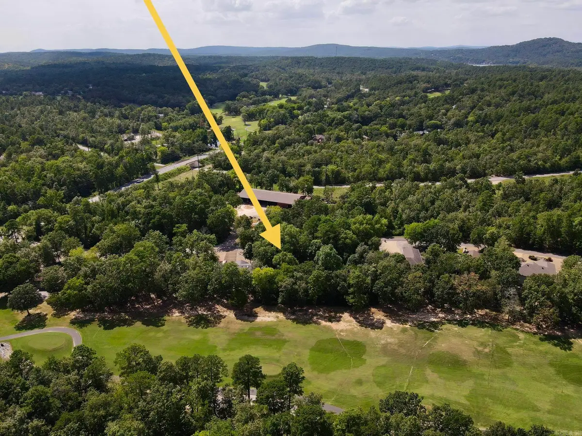 11 Gandesa Way, Hot Springs Village, AR 71909 - #1