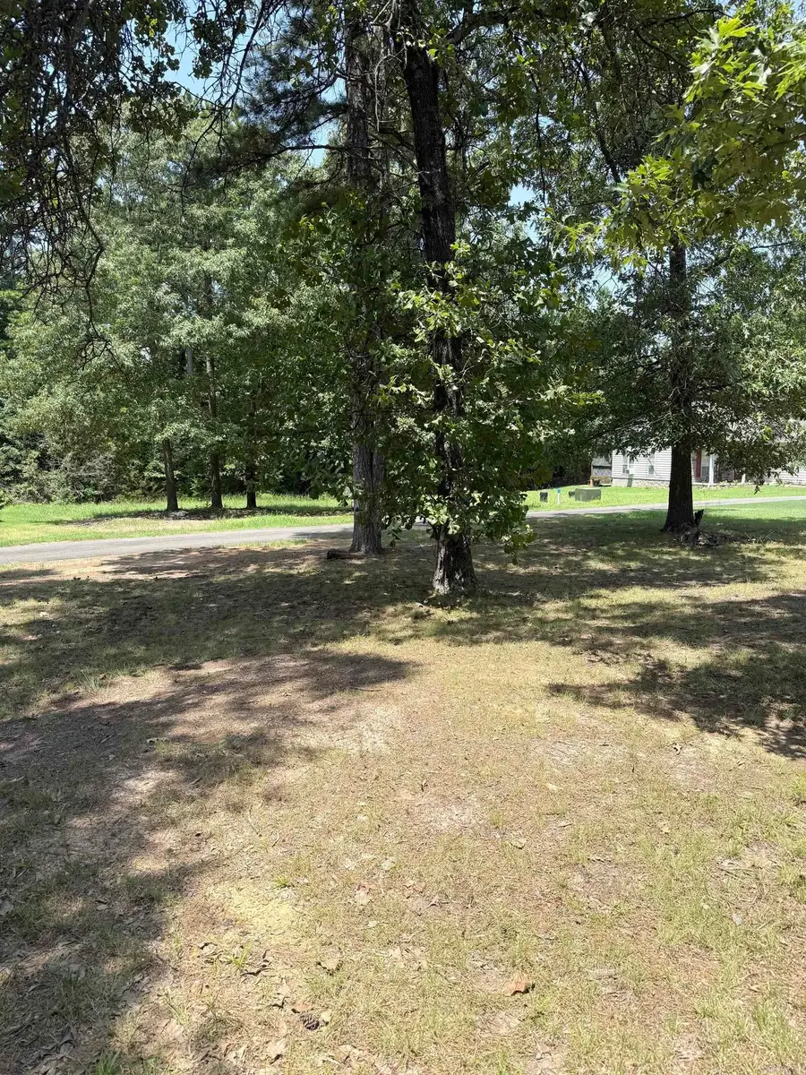 45 South Drive #58r, Greers Ferry, AR 72067 - #2