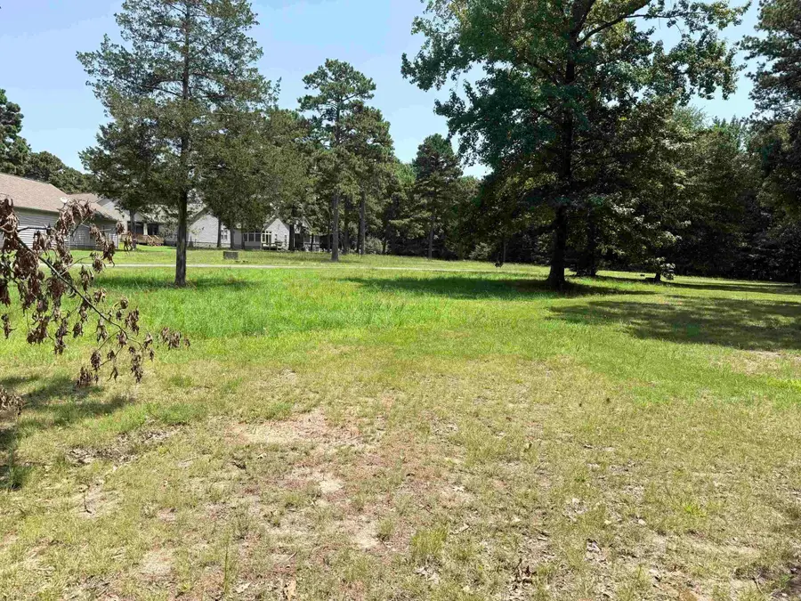 45 South Drive #58r, Greers Ferry, AR 72067 - #3
