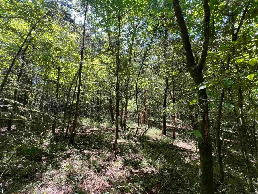 000 Davidson Campground Rd, Okolona, AR 71962 - #3