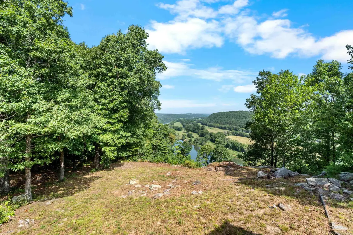 1154 Forest Home Ln, Calico Rock, AR 72519 - #1