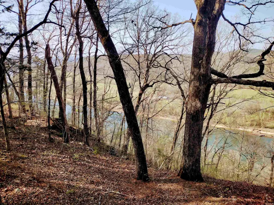 1154 Forest Home Ln, Calico Rock, AR 72519 - #3