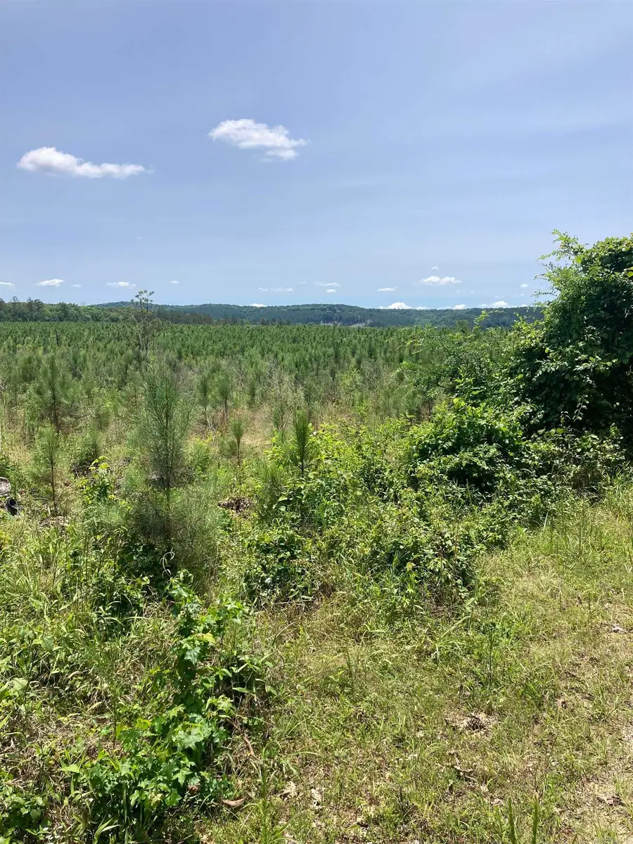 1414 BLOCK OF Newkirk Circle, Jessieville, AR 71949 - #3