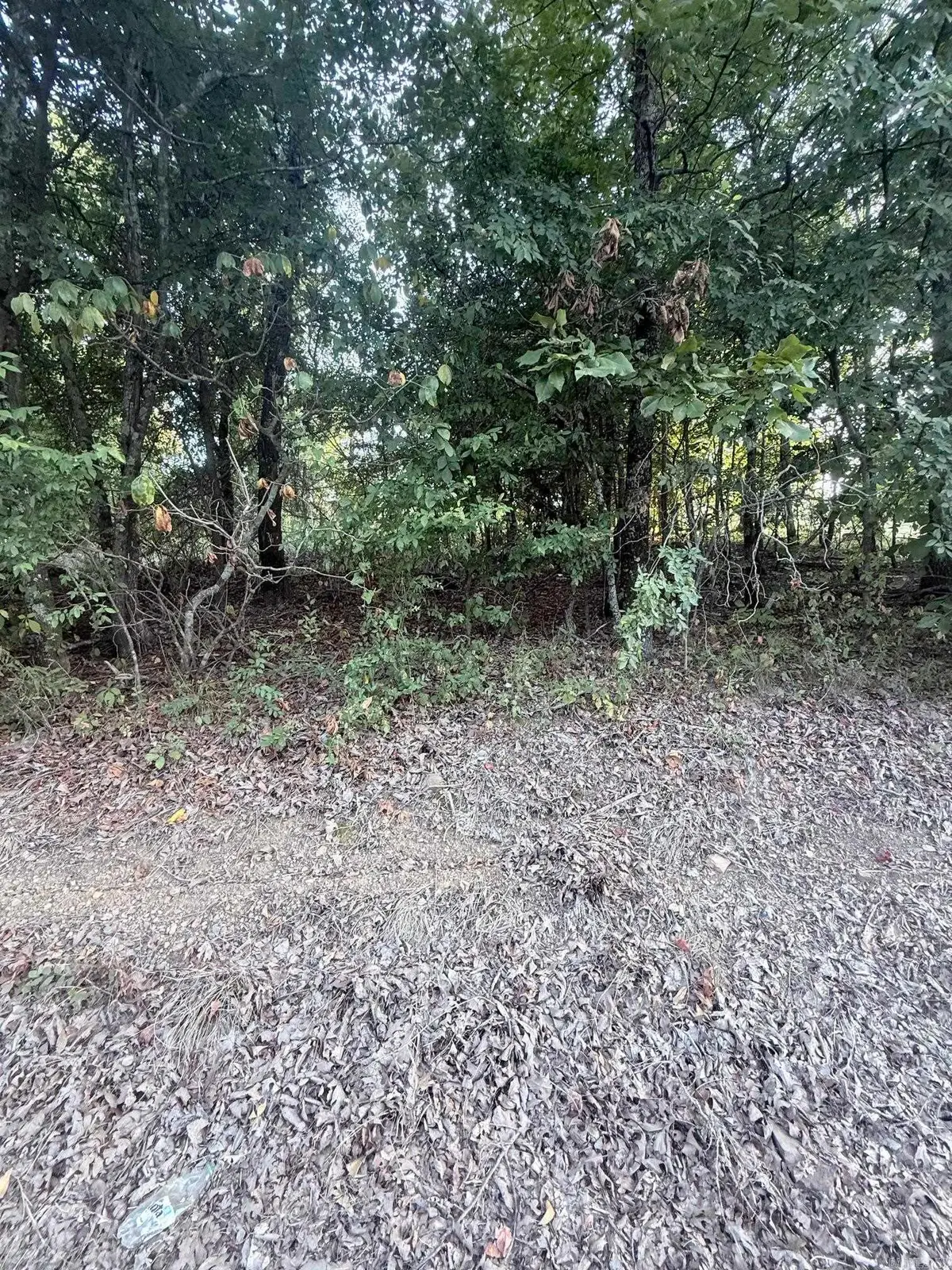 lot 10 Ridge, Mayflower, AR 72106 - #1