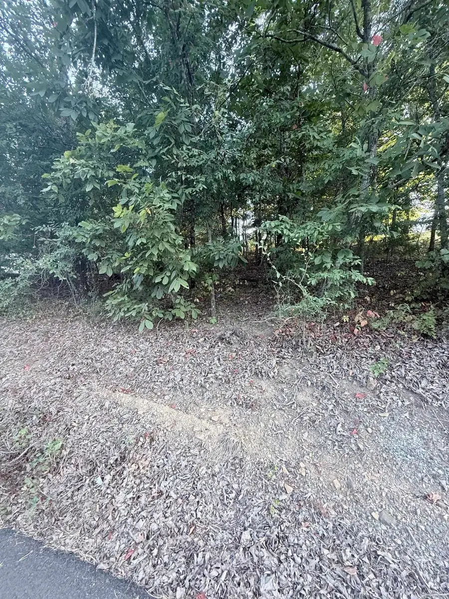 lot 10 Ridge, Mayflower, AR 72106 - #2