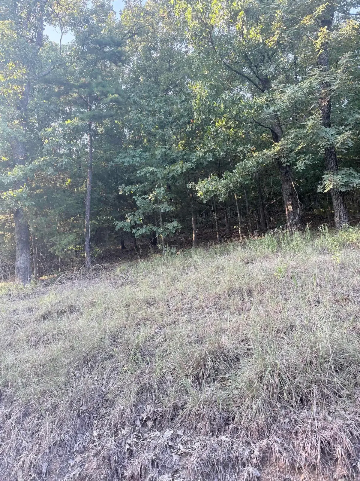 lot 13 Ridge, Mayflower, AR 72106 - #1