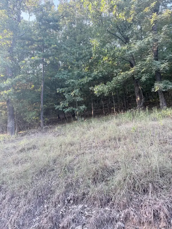 lot 13 Ridge, Mayflower, AR 72106