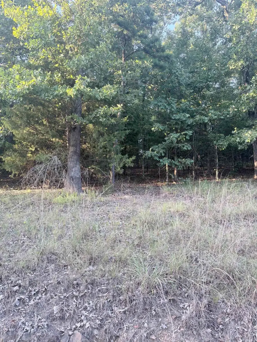lot 13 Ridge, Mayflower, AR 72106 - #2