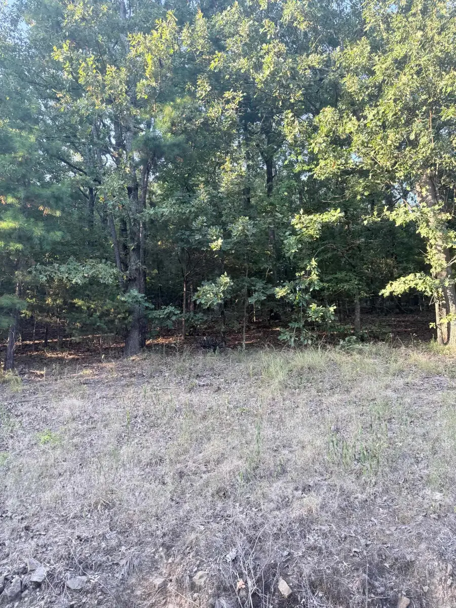 lot 14 Ridge, Mayflower, AR 72106 - #3