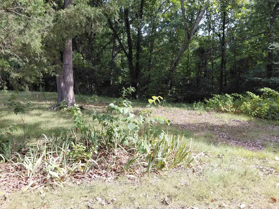 239 Hiawatha Drive, Cherokee Village, AR 72529 - #3