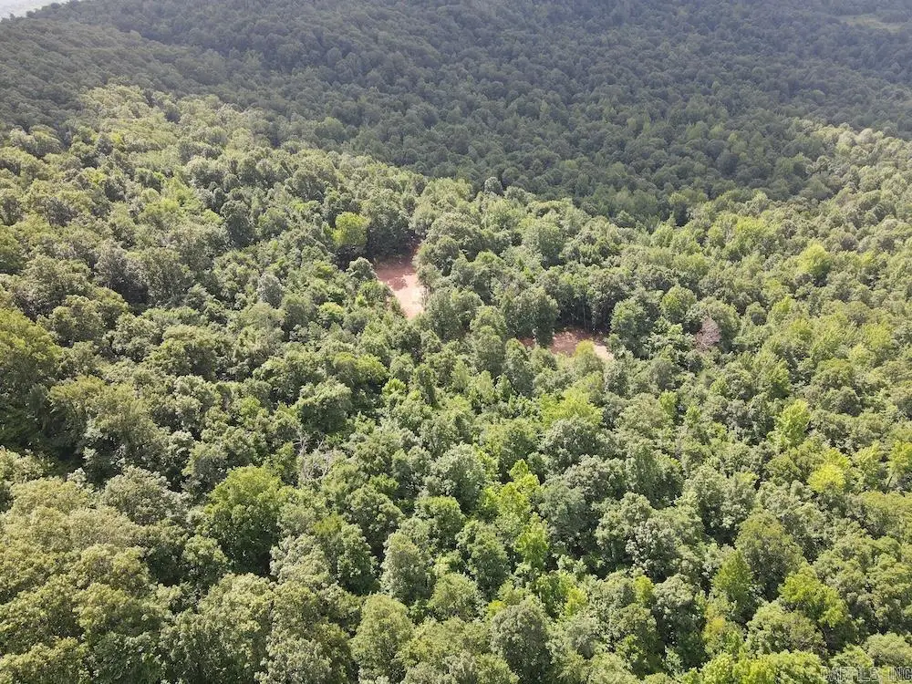 Cr5, Mount Pleasant, AR 72686 - #1