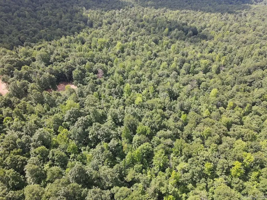 Cr5, Mount Pleasant, AR 72686 - #2