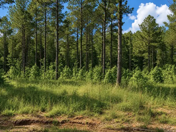 0 Grant 761 (lot 16), Sheridan, AR 72150