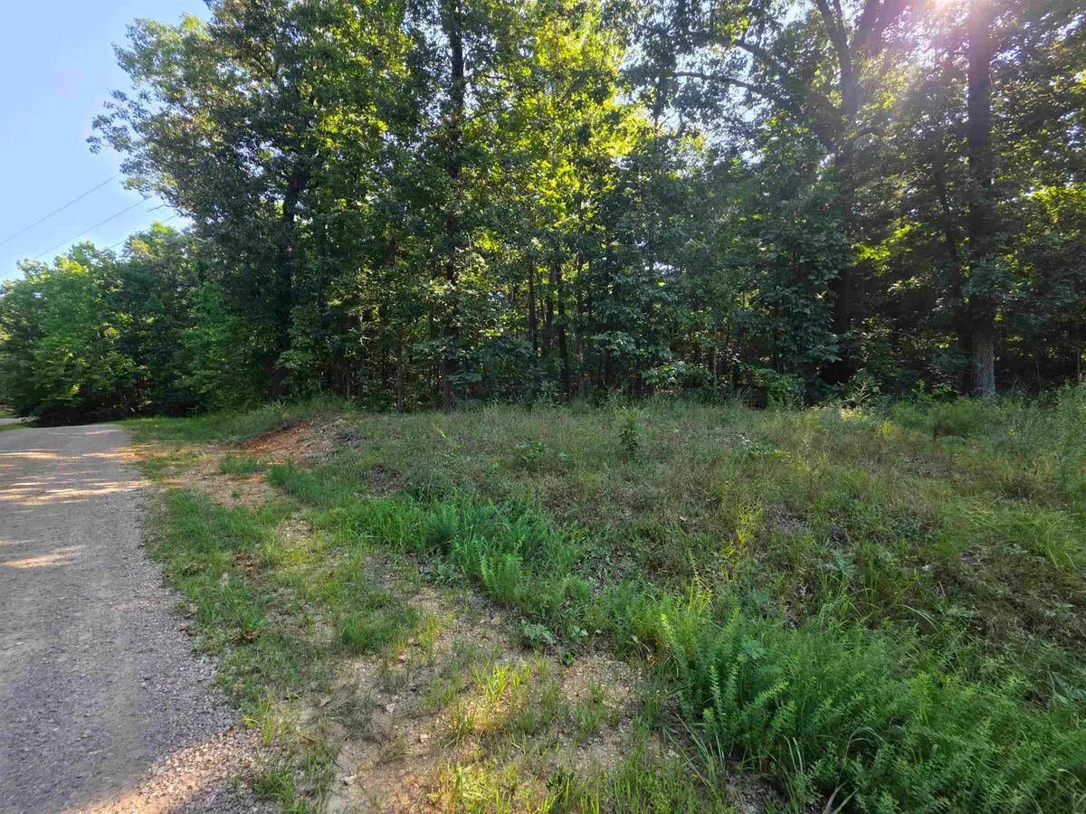L1B7 E Lakeshore Drive, Ozark Acres, AR 72482 - #1