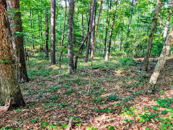 30 Montijo Way, Hot Springs Village, AR 71909