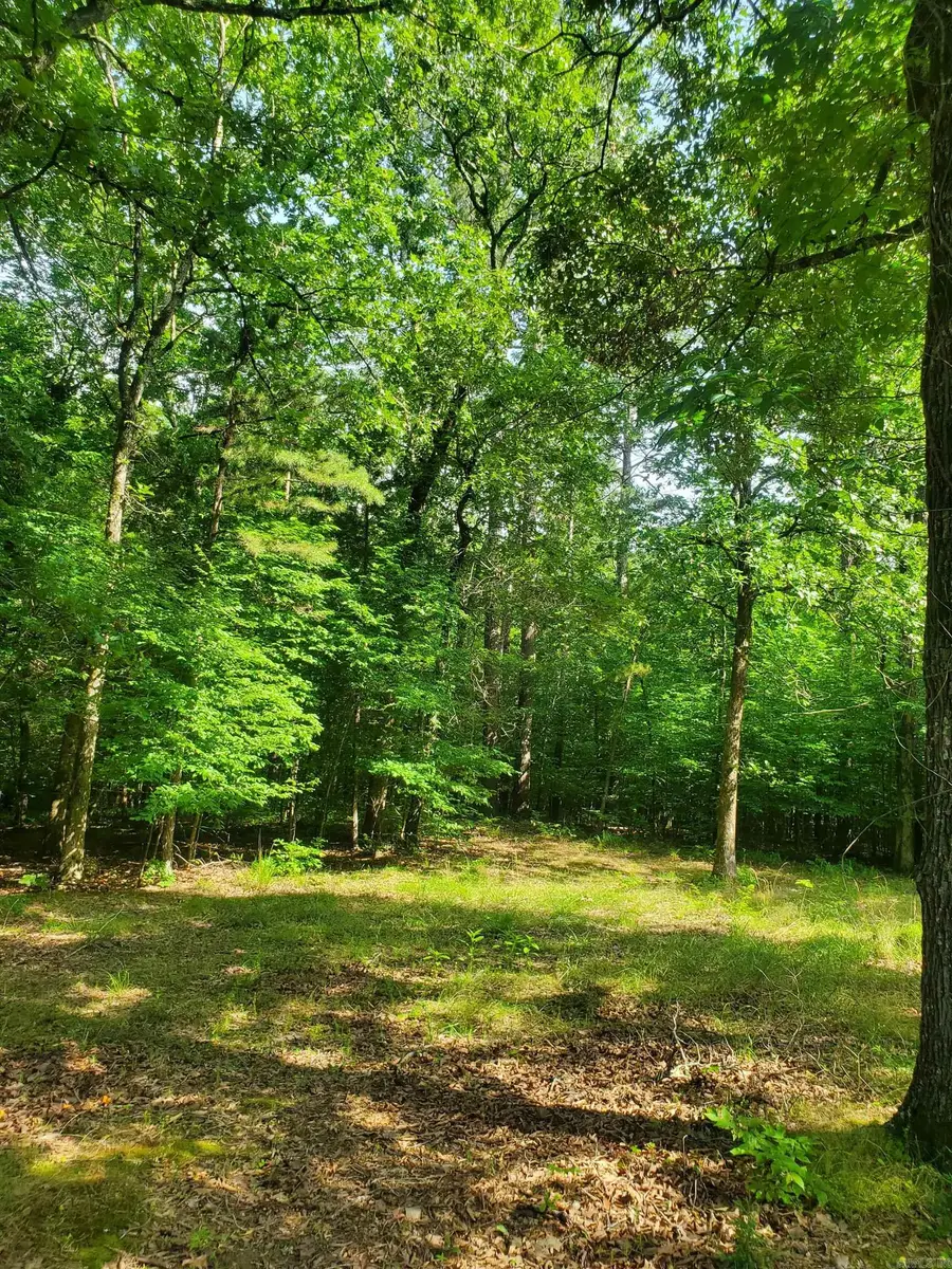 TBD Nella Road, Waldron, AR 72958 - #3